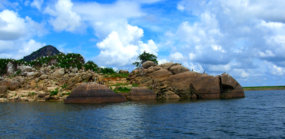 Many More to Explore